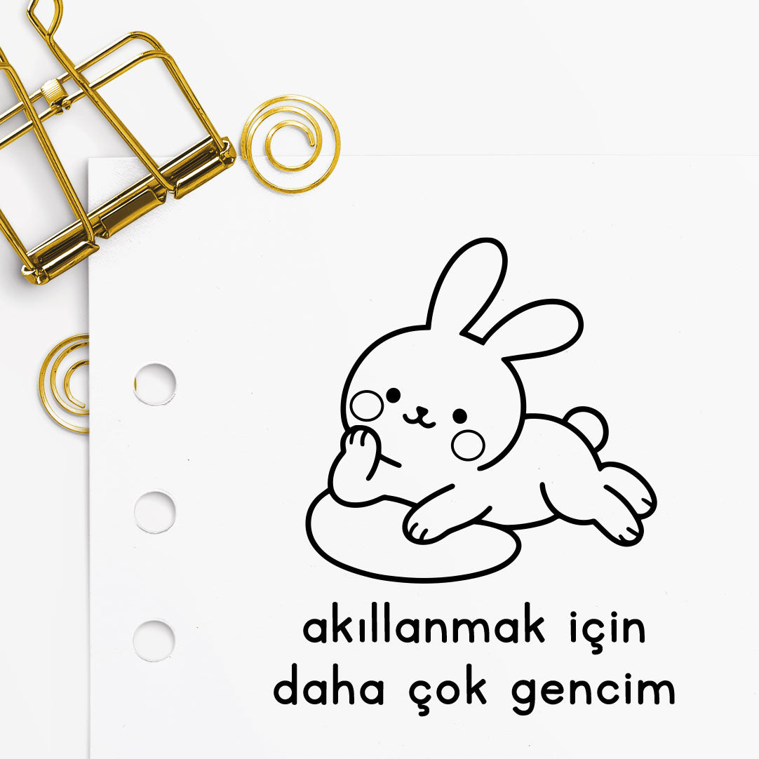 '' Akıllanmak İçin Daha Çok Gencim '' Mührü